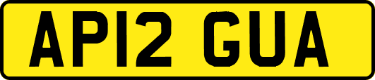 AP12GUA