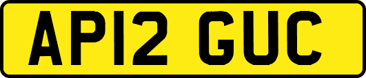 AP12GUC