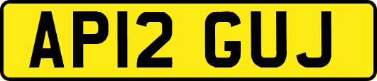 AP12GUJ