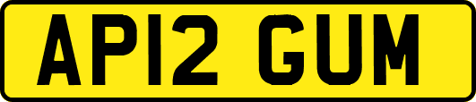 AP12GUM