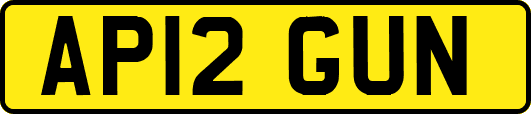 AP12GUN