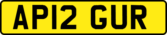 AP12GUR