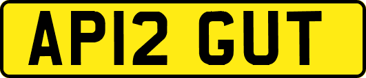 AP12GUT