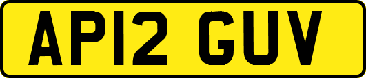 AP12GUV