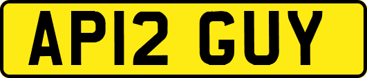 AP12GUY