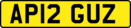 AP12GUZ