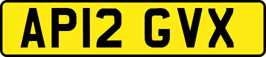 AP12GVX