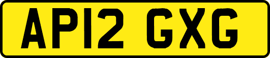 AP12GXG
