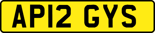 AP12GYS