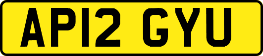 AP12GYU