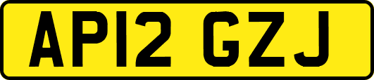 AP12GZJ
