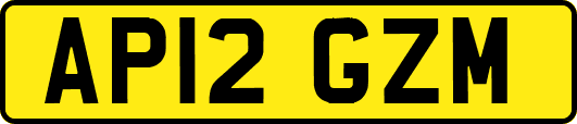 AP12GZM