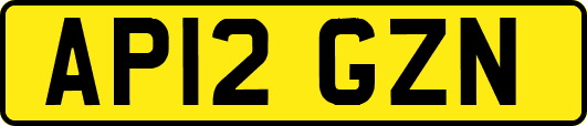 AP12GZN
