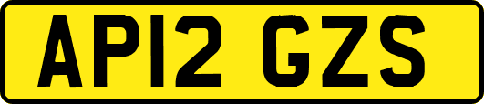 AP12GZS
