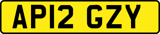 AP12GZY