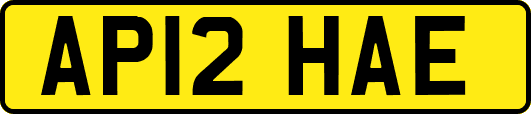 AP12HAE