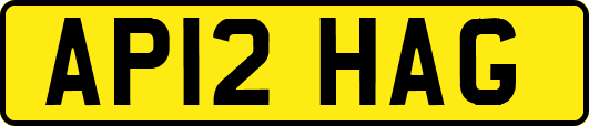 AP12HAG