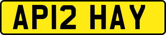 AP12HAY