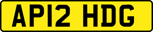 AP12HDG