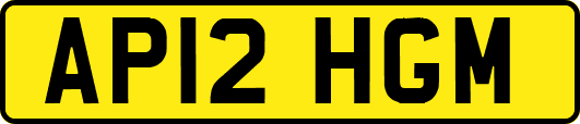 AP12HGM