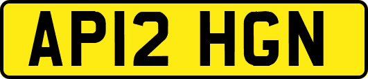 AP12HGN