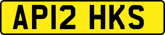 AP12HKS