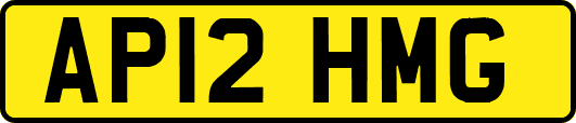 AP12HMG