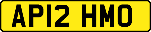 AP12HMO