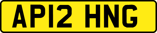 AP12HNG