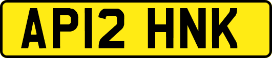 AP12HNK