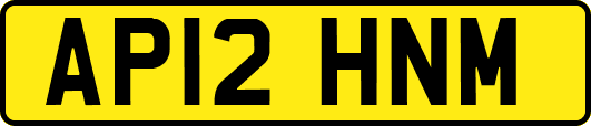 AP12HNM