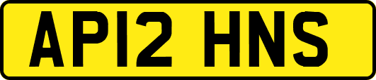 AP12HNS