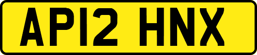 AP12HNX