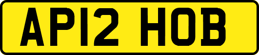 AP12HOB