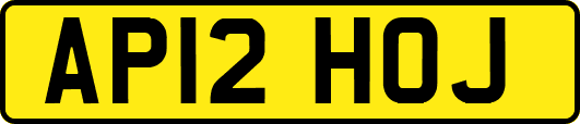 AP12HOJ