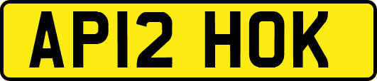 AP12HOK