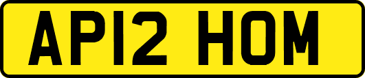 AP12HOM