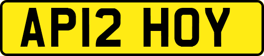 AP12HOY