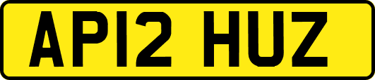 AP12HUZ