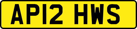 AP12HWS