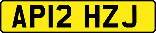 AP12HZJ
