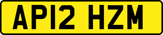 AP12HZM