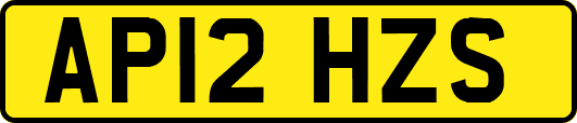AP12HZS