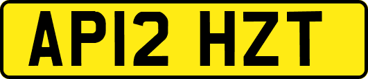 AP12HZT
