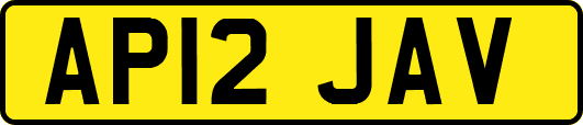 AP12JAV