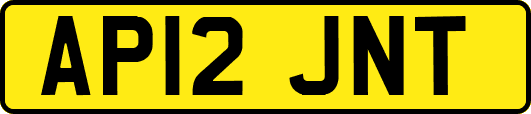 AP12JNT