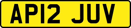AP12JUV