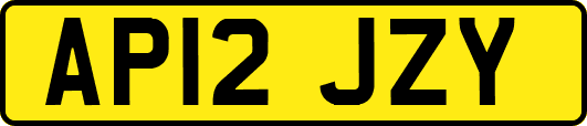 AP12JZY