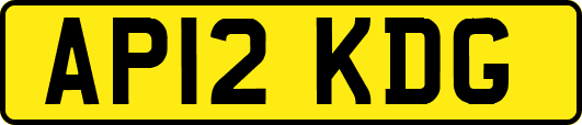 AP12KDG
