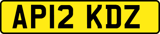 AP12KDZ